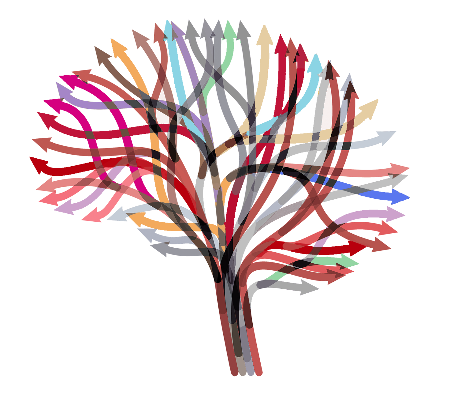 Decision Brain